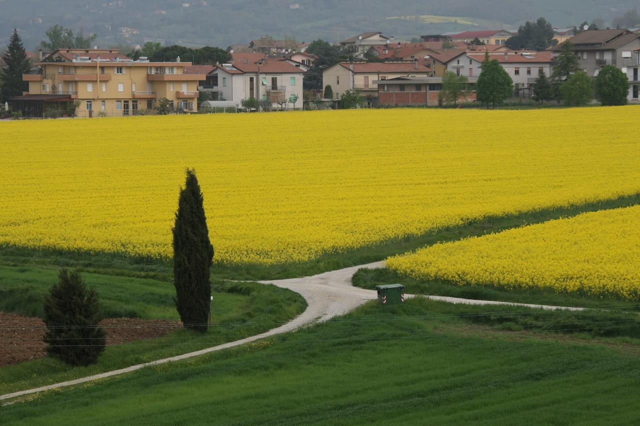 Palazzo Santinelli Bed & Breakfast Sant'Angelo in Vado Luaran gambar